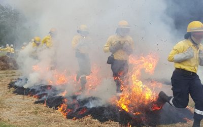 Preparing for the 2018/19 fire season